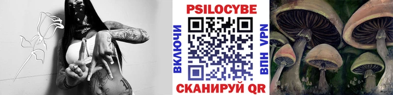 Псилоцибиновые грибы прущие грибы  дарнет шоп  Строитель 