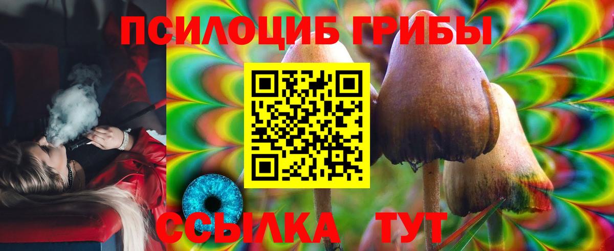 Псилоцибиновые грибы Psilocybe  Вход с VPN  Строитель 