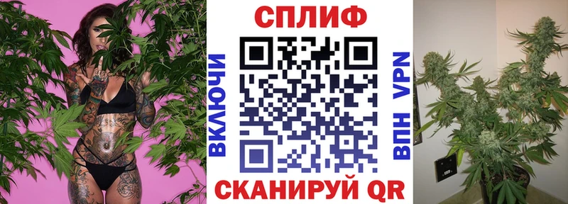 Конопля Bruce Banner Строитель