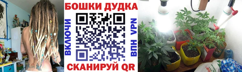 Шишки марихуана SATIVA & INDICA  Строитель 